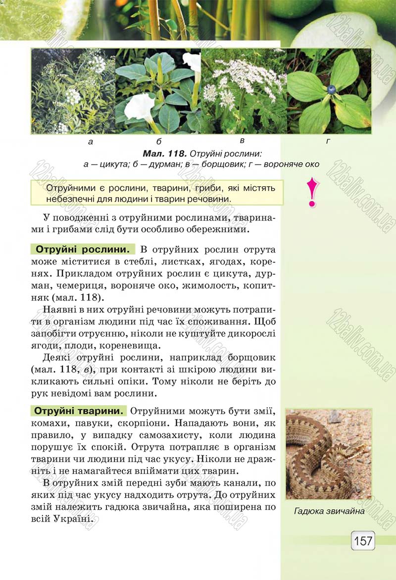 Сторінка 157 - Підручник 5 клас Природознавство Ярошенко 2018