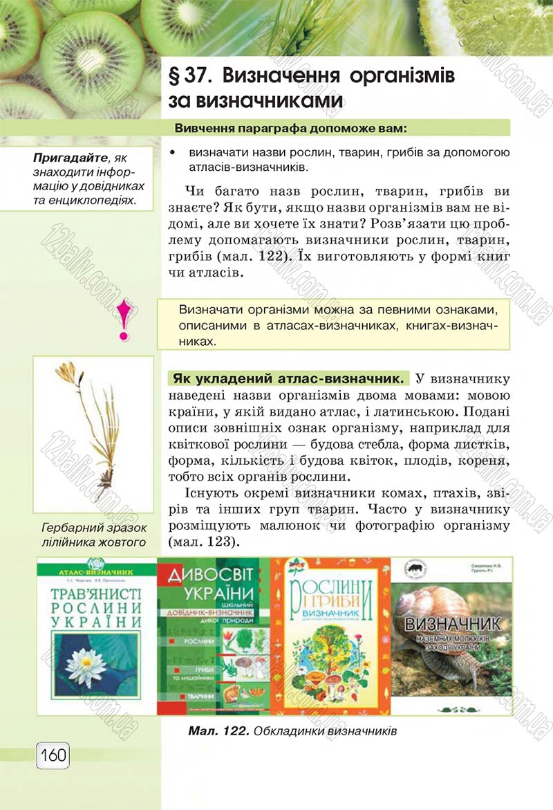 Сторінка 160 - Підручник 5 клас Природознавство Ярошенко 2018