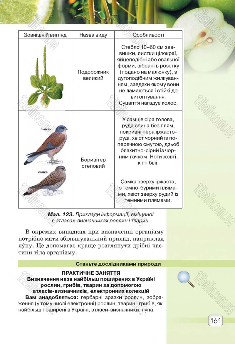 Сторінка 161 - Підручник 5 клас Природознавство Ярошенко 2018