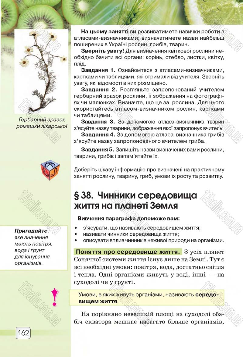 Сторінка 162 - Підручник 5 клас Природознавство Ярошенко 2018