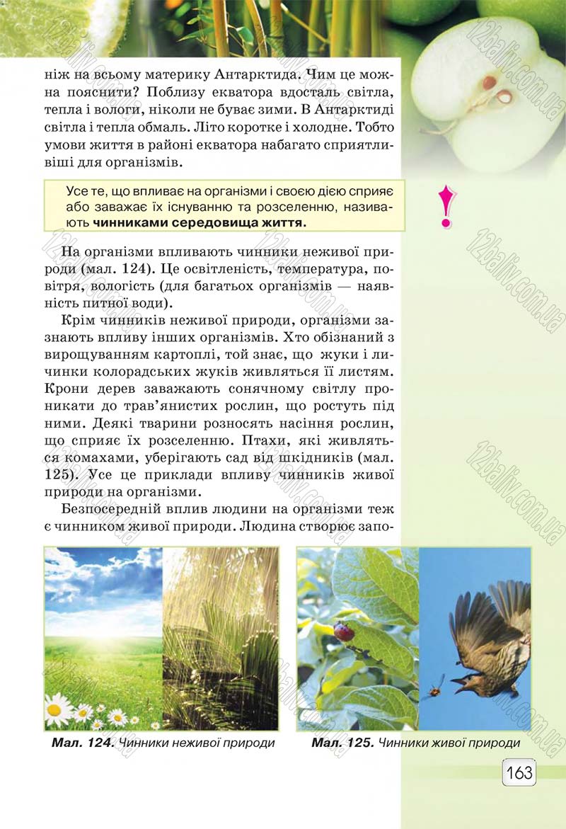 Сторінка 163 - Підручник 5 клас Природознавство Ярошенко 2018
