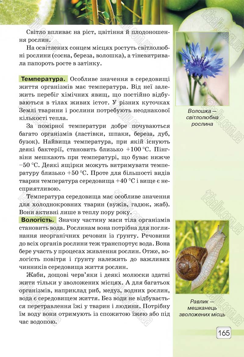 Сторінка 165 - Підручник 5 клас Природознавство Ярошенко 2018