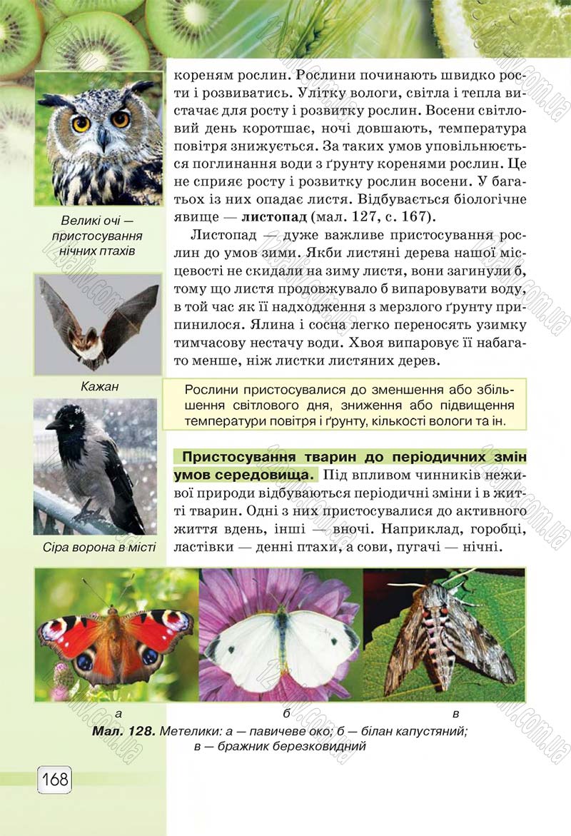 Сторінка 168 - Підручник 5 клас Природознавство Ярошенко 2018