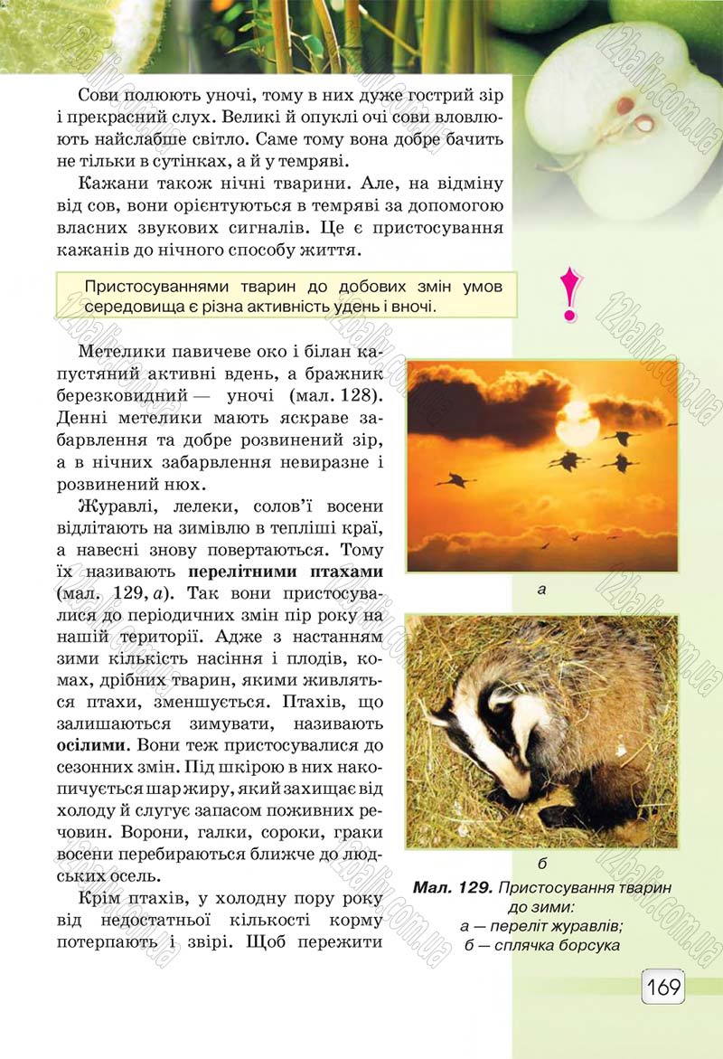 Сторінка 169 - Підручник 5 клас Природознавство Ярошенко 2018