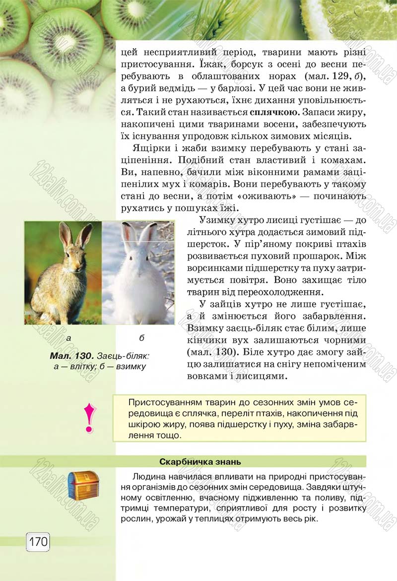 Сторінка 170 - Підручник 5 клас Природознавство Ярошенко 2018