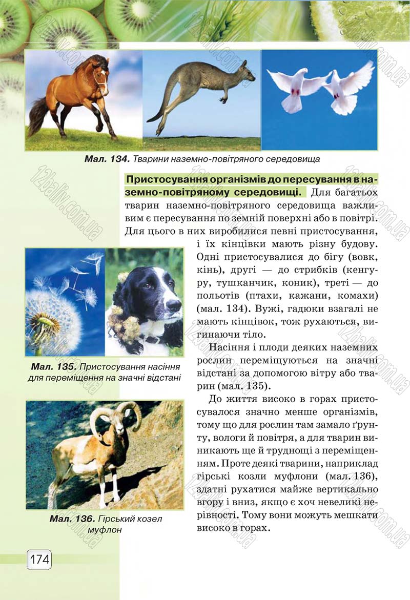 Сторінка 174 - Підручник 5 клас Природознавство Ярошенко 2018