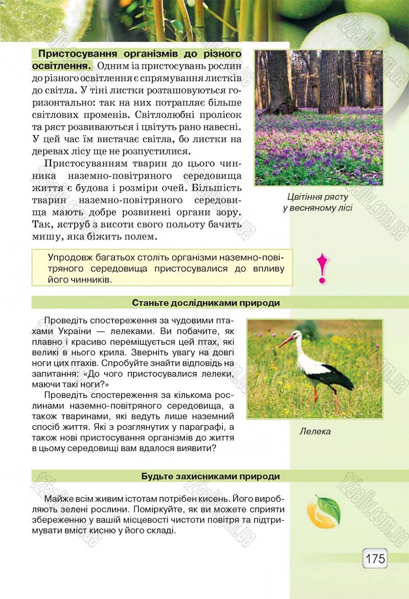 Сторінка 175 - Підручник 5 клас Природознавство Ярошенко 2018
