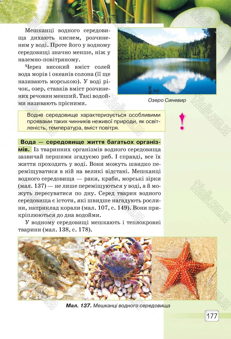 Сторінка 177 - Підручник 5 клас Природознавство Ярошенко 2018