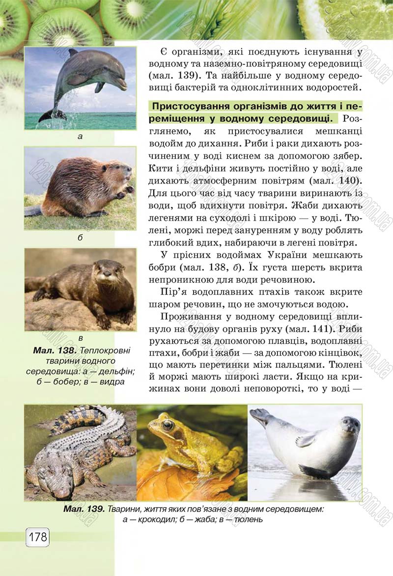 Сторінка 178 - Підручник 5 клас Природознавство Ярошенко 2018