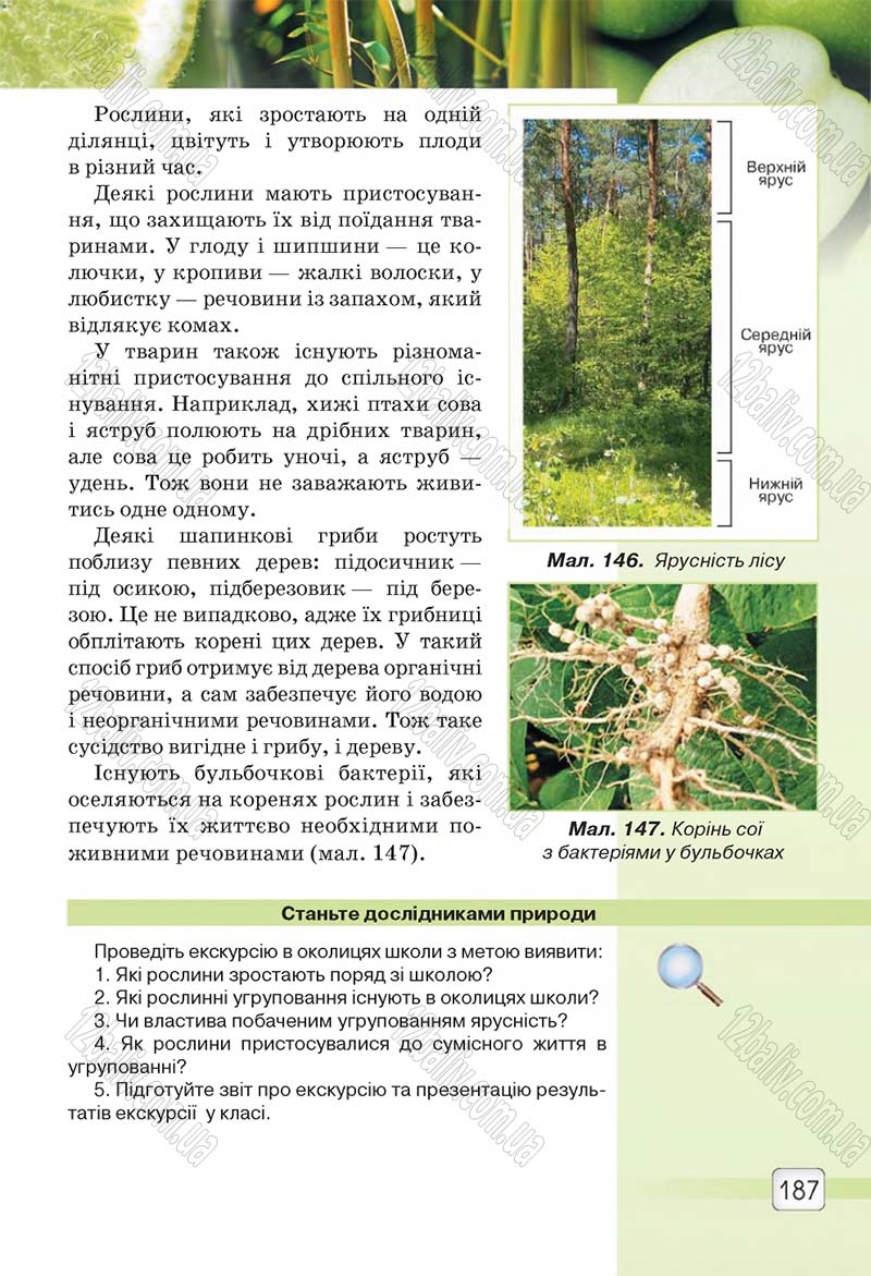 Сторінка 187 - Підручник 5 клас Природознавство Ярошенко 2018