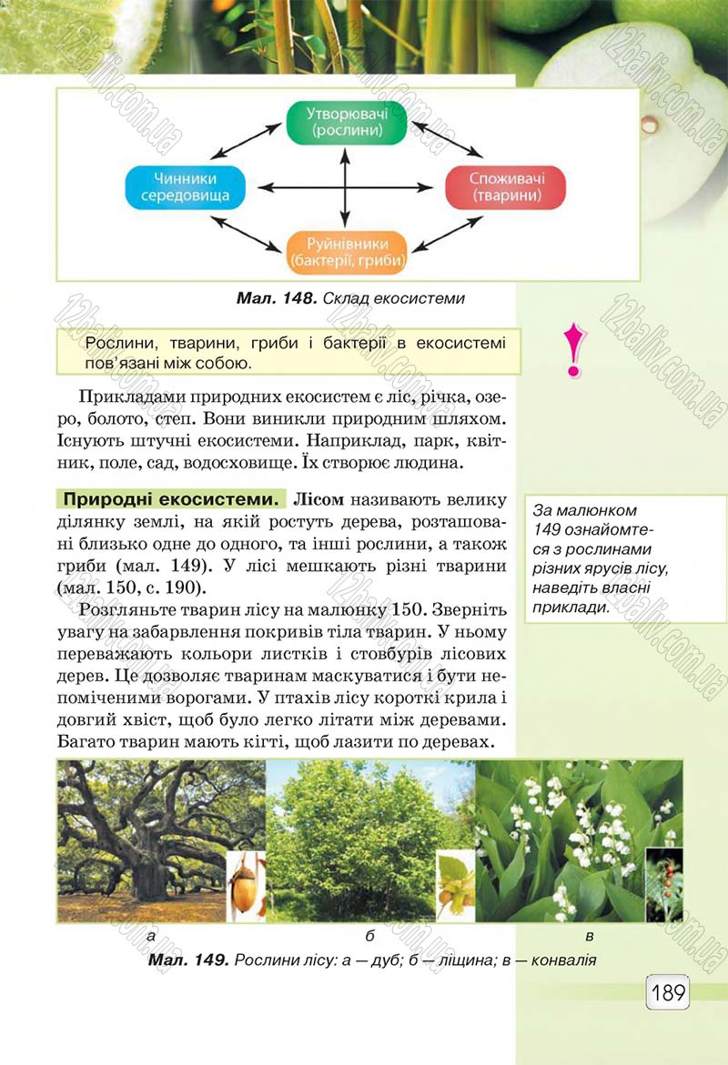 Сторінка 189 - Підручник 5 клас Природознавство Ярошенко 2018