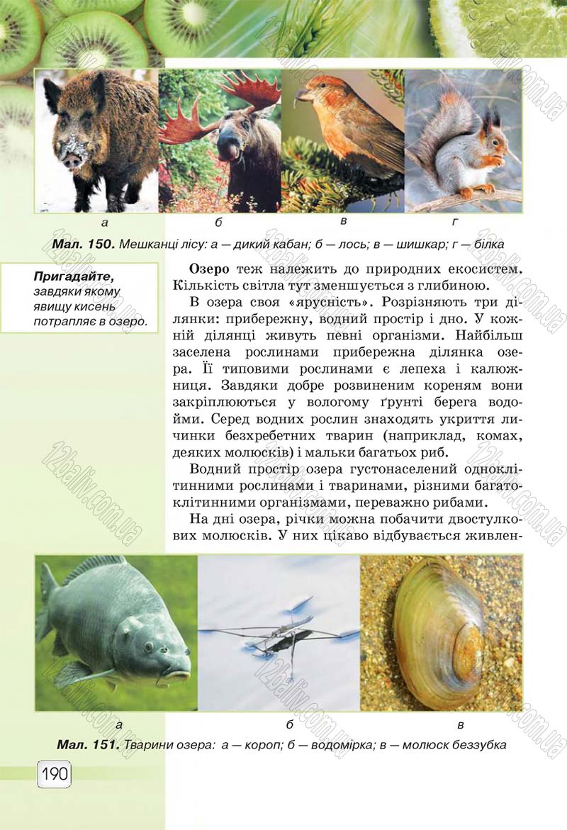 Сторінка 190 - Підручник 5 клас Природознавство Ярошенко 2018