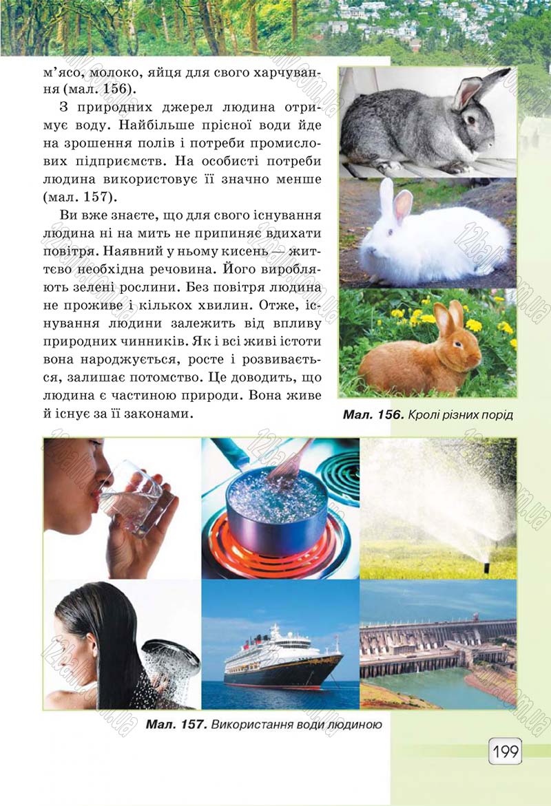 Сторінка 199 - Підручник 5 клас Природознавство Ярошенко 2018
