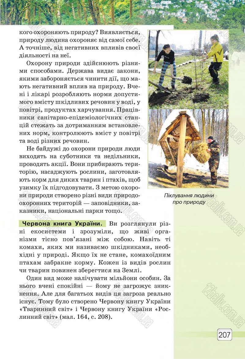 Сторінка 207 - Підручник 5 клас Природознавство Ярошенко 2018