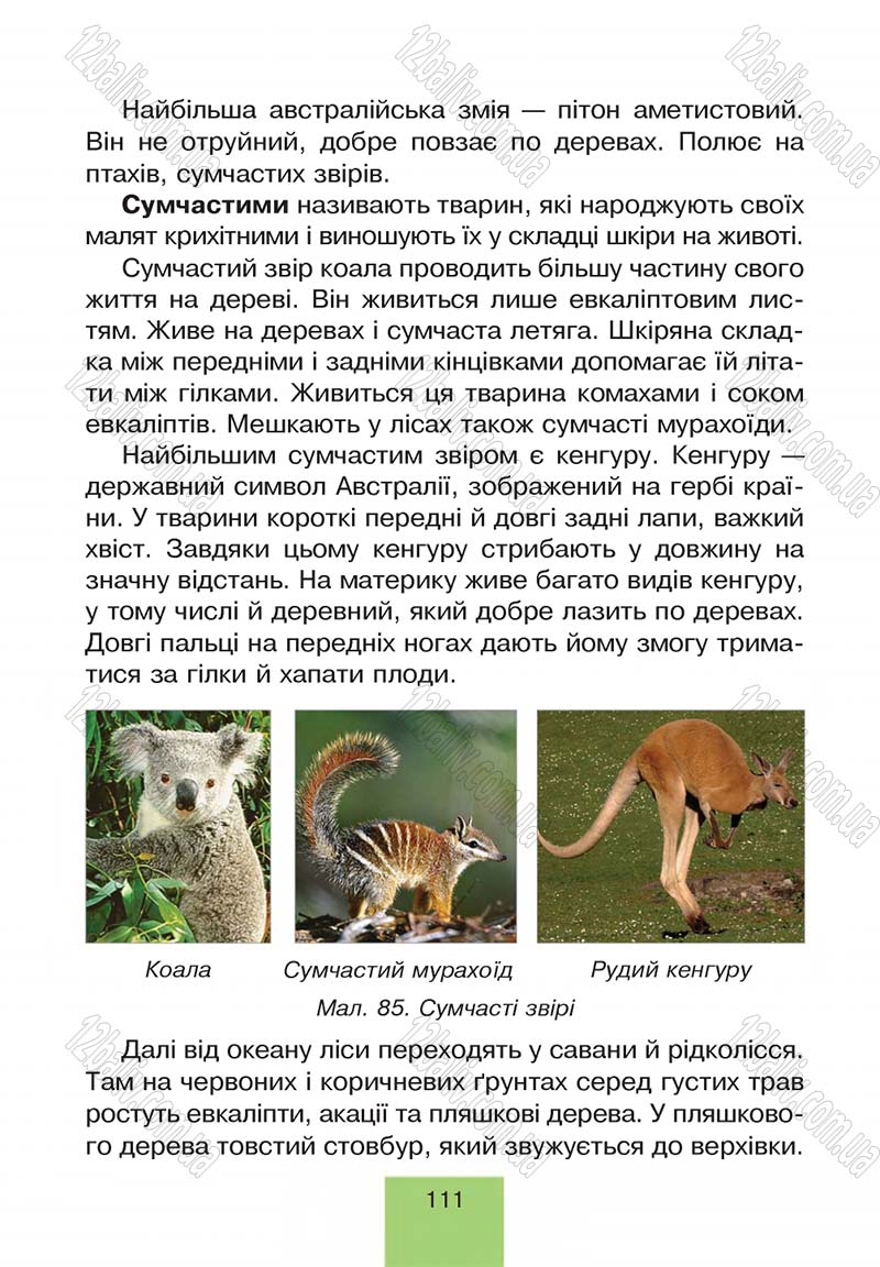 Сторінка 111 - Підручник Природознавство 4 клас Т.В. Гладюк, М.М. Гладюк 2015