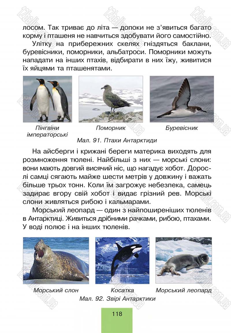 Сторінка 118 - Підручник Природознавство 4 клас Т.В. Гладюк, М.М. Гладюк 2015
