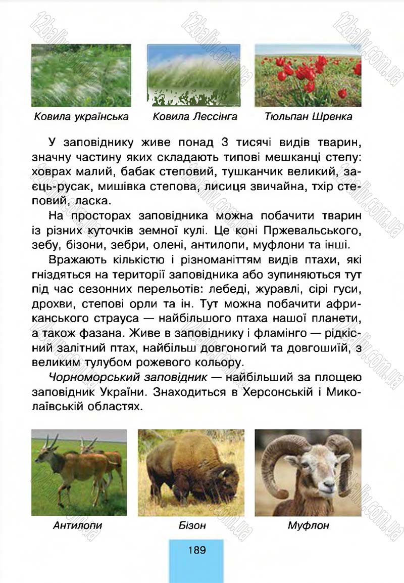 Сторінка 189 - Підручник Природознавство 4 клас Т.В. Гладюк, М.М. Гладюк 2015