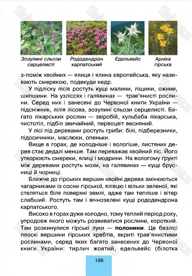 Сторінка 196 - Підручник Природознавство 4 клас Т.В. Гладюк, М.М. Гладюк 2015