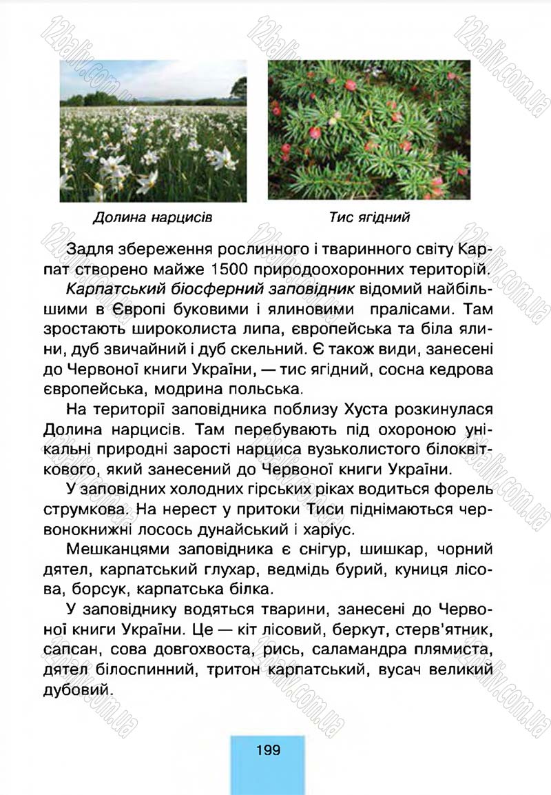 Сторінка 199 - Підручник Природознавство 4 клас Т.В. Гладюк, М.М. Гладюк 2015
