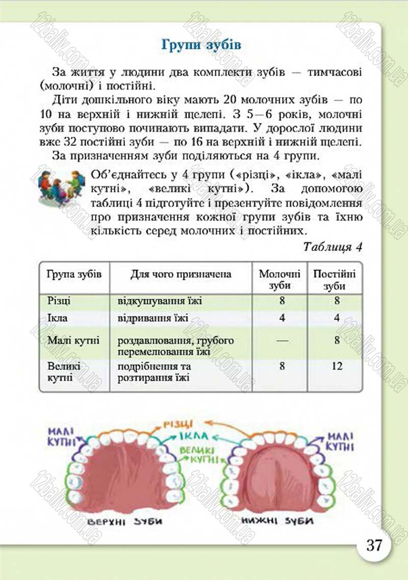 Сторінка 37 - Підручник Основи здоров'я 4 клас І.Д. Бех, Т.В. Воронцова, В.С. Пономаренко, С.В. Страшко 2015