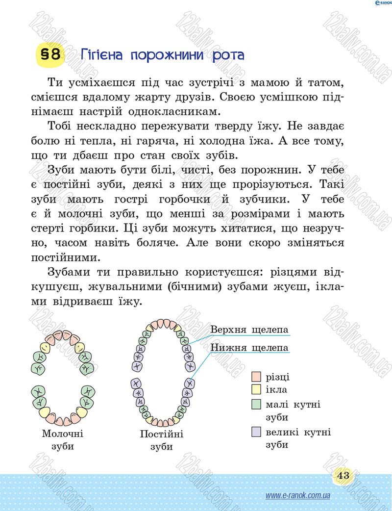 Сторінка 43 - Підручник Основи здоров'я 4 клас Т.Є. Бойченко, Н.С. Коваль 2015