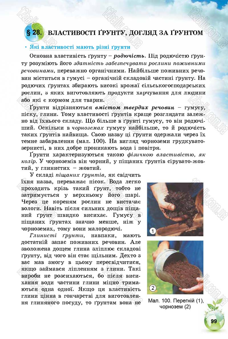 Сторінка 99 - Підручник Природознавство 5 клас Т. В. Коршевнюк, І. В. Баштовий 2018