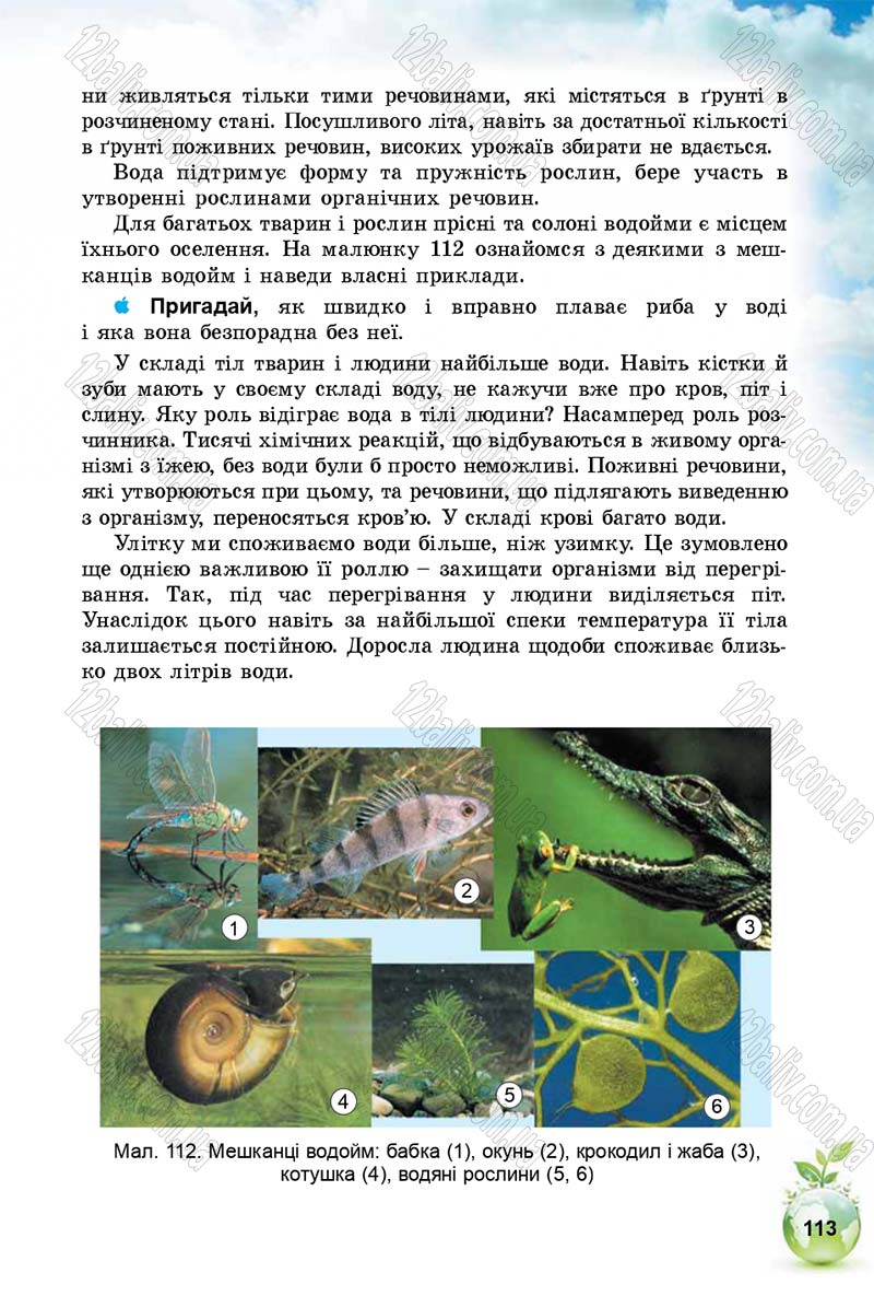 Сторінка 113 - Підручник Природознавство 5 клас Т. В. Коршевнюк, І. В. Баштовий 2018