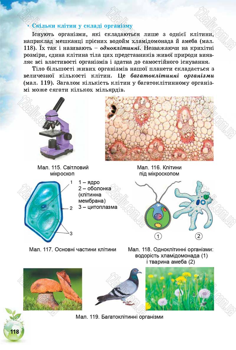 Сторінка 118 - Підручник Природознавство 5 клас Т. В. Коршевнюк, І. В. Баштовий 2018