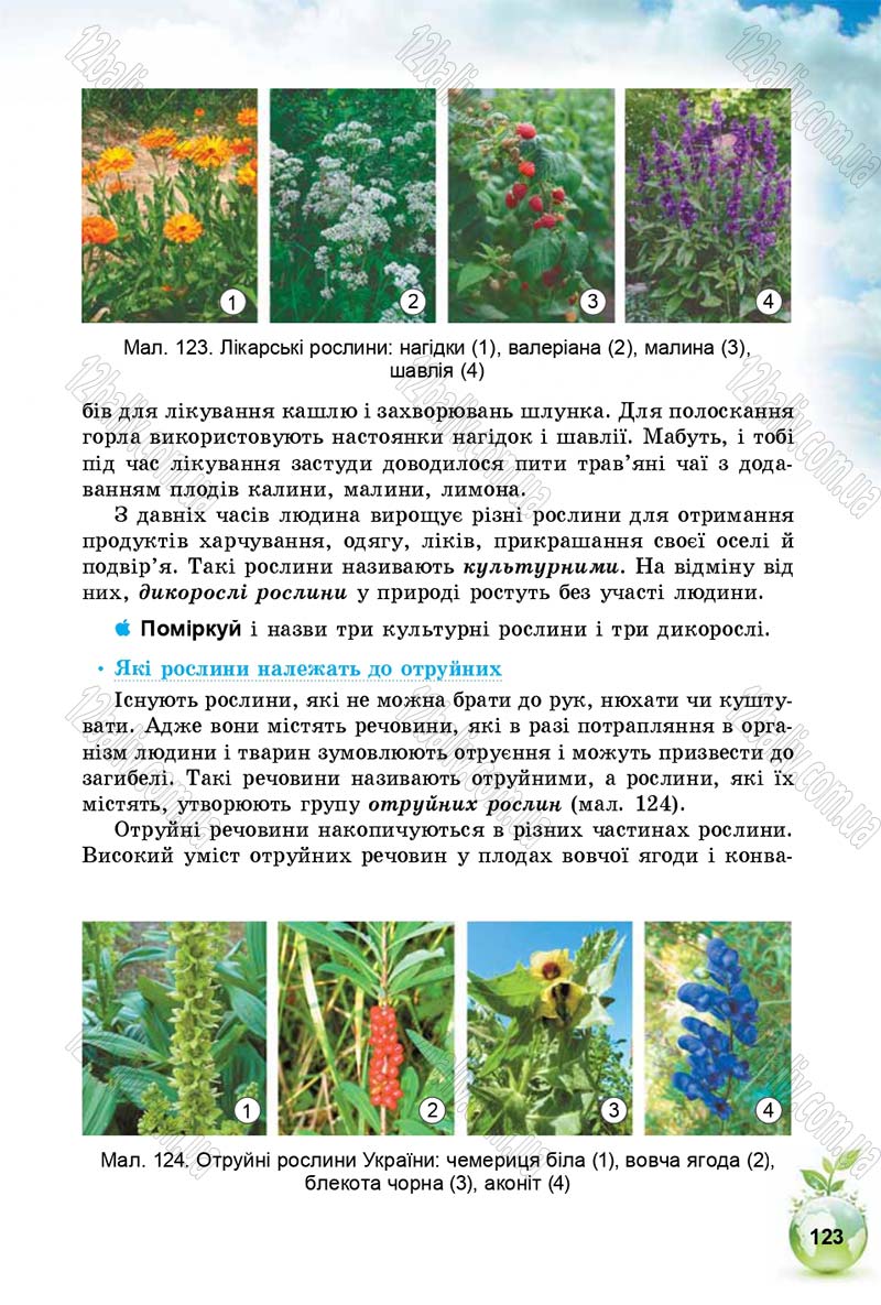 Сторінка 123 - Підручник Природознавство 5 клас Т. В. Коршевнюк, І. В. Баштовий 2018