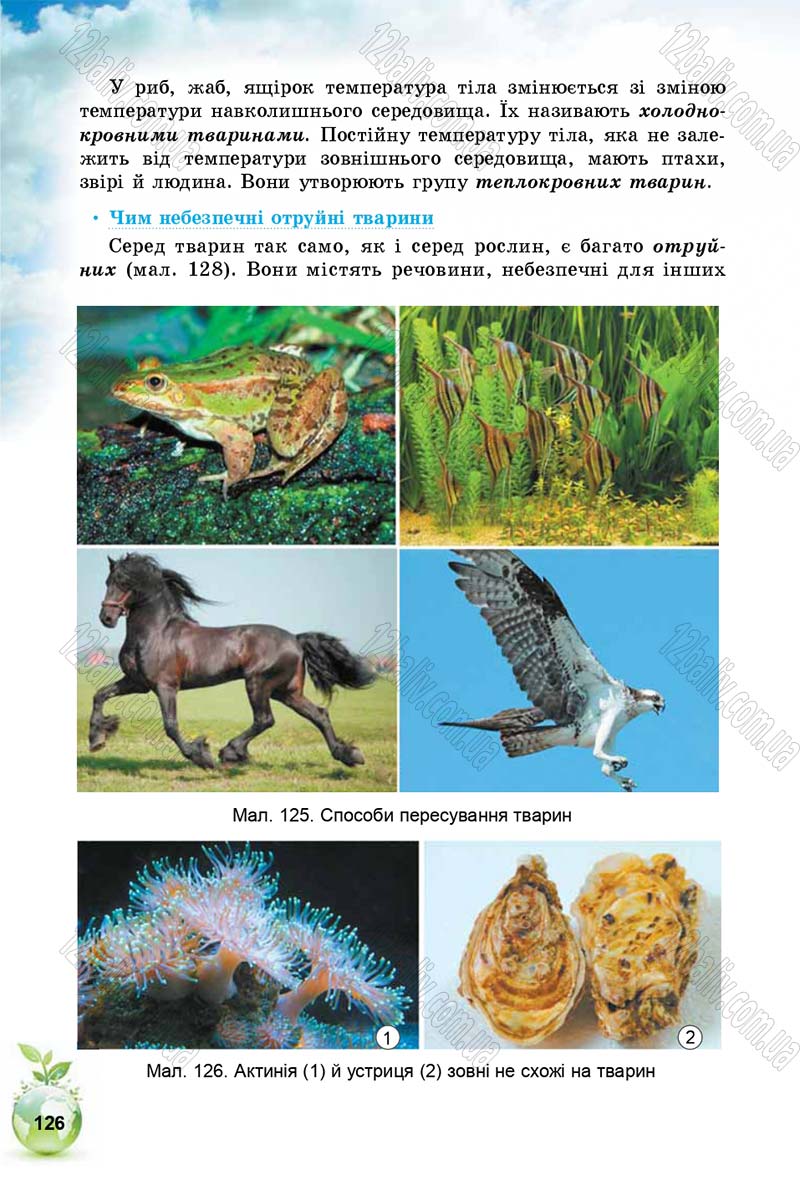 Сторінка 126 - Підручник Природознавство 5 клас Т. В. Коршевнюк, І. В. Баштовий 2018