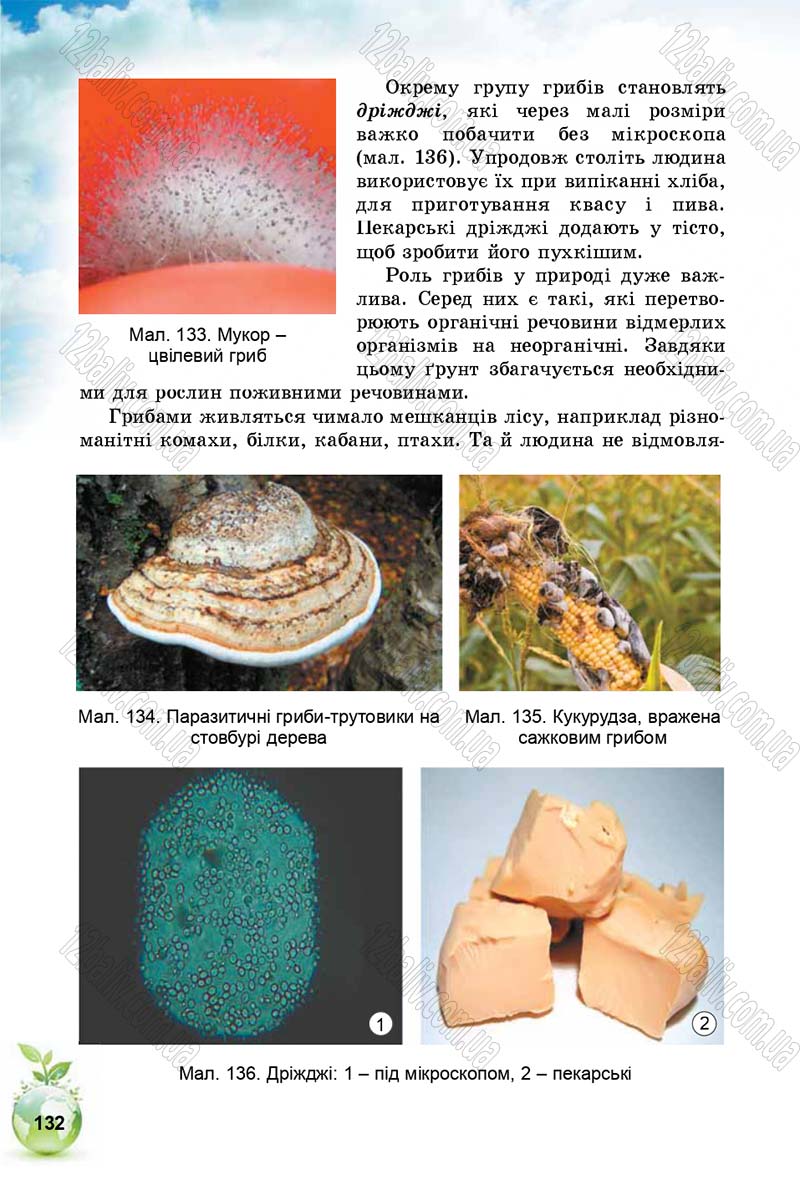 Сторінка 132 - Підручник Природознавство 5 клас Т. В. Коршевнюк, І. В. Баштовий 2018