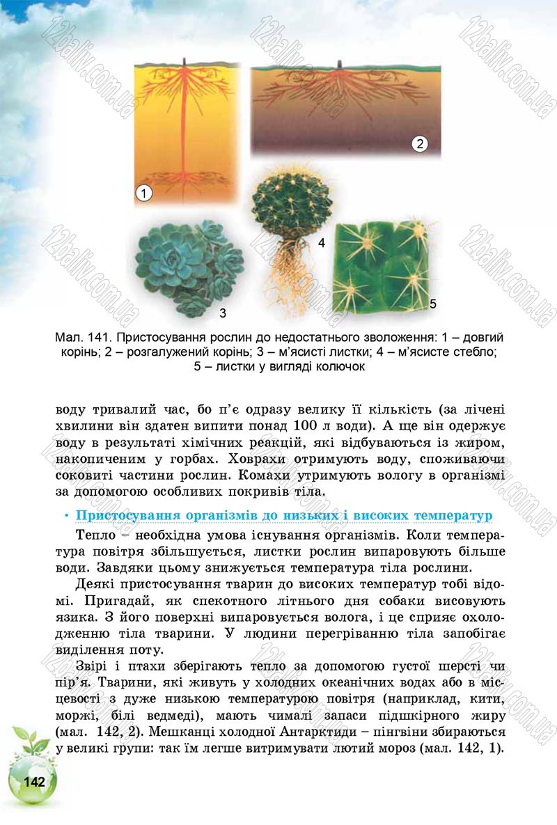 Сторінка 142 - Підручник Природознавство 5 клас Т. В. Коршевнюк, І. В. Баштовий 2018