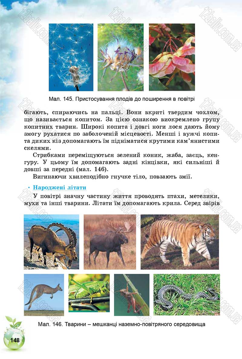 Сторінка 148 - Підручник Природознавство 5 клас Т. В. Коршевнюк, І. В. Баштовий 2018