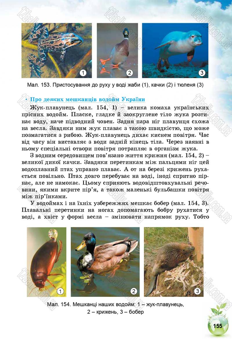 Сторінка 155 - Підручник Природознавство 5 клас Т. В. Коршевнюк, І. В. Баштовий 2018