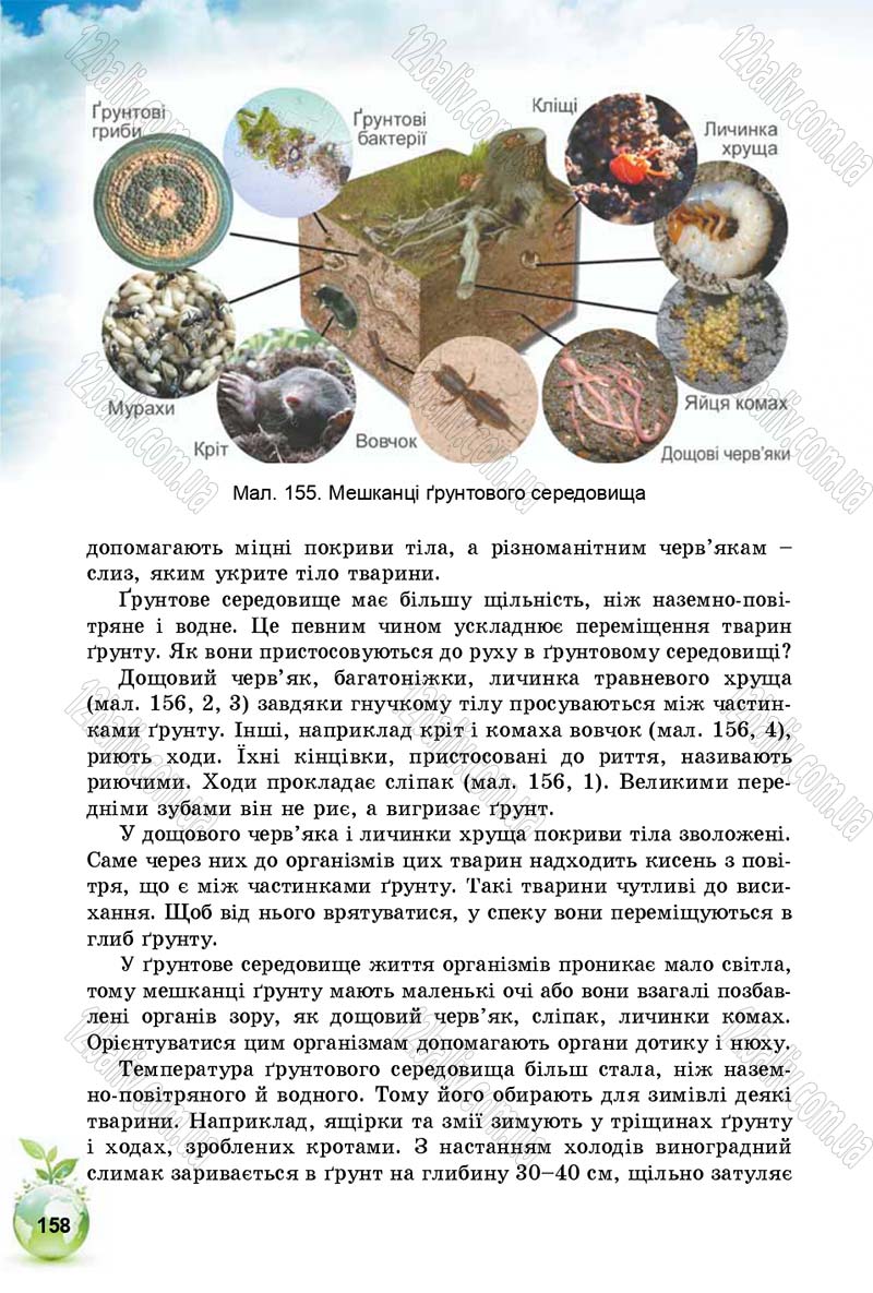 Сторінка 158 - Підручник Природознавство 5 клас Т. В. Коршевнюк, І. В. Баштовий 2018