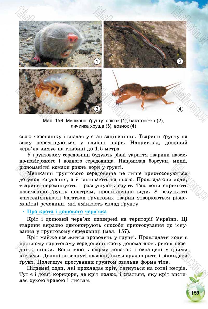 Сторінка 159 - Підручник Природознавство 5 клас Т. В. Коршевнюк, І. В. Баштовий 2018