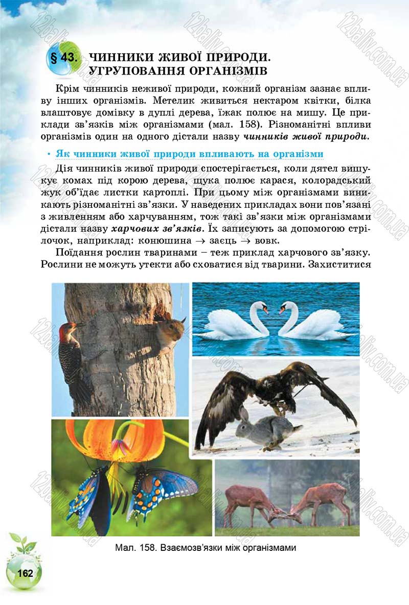 Сторінка 162 - Підручник Природознавство 5 клас Т. В. Коршевнюк, І. В. Баштовий 2018