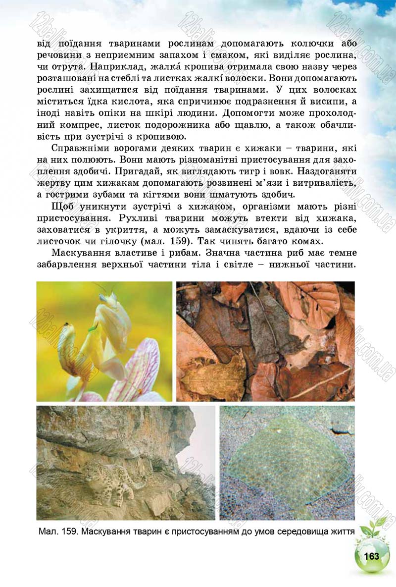 Сторінка 163 - Підручник Природознавство 5 клас Т. В. Коршевнюк, І. В. Баштовий 2018