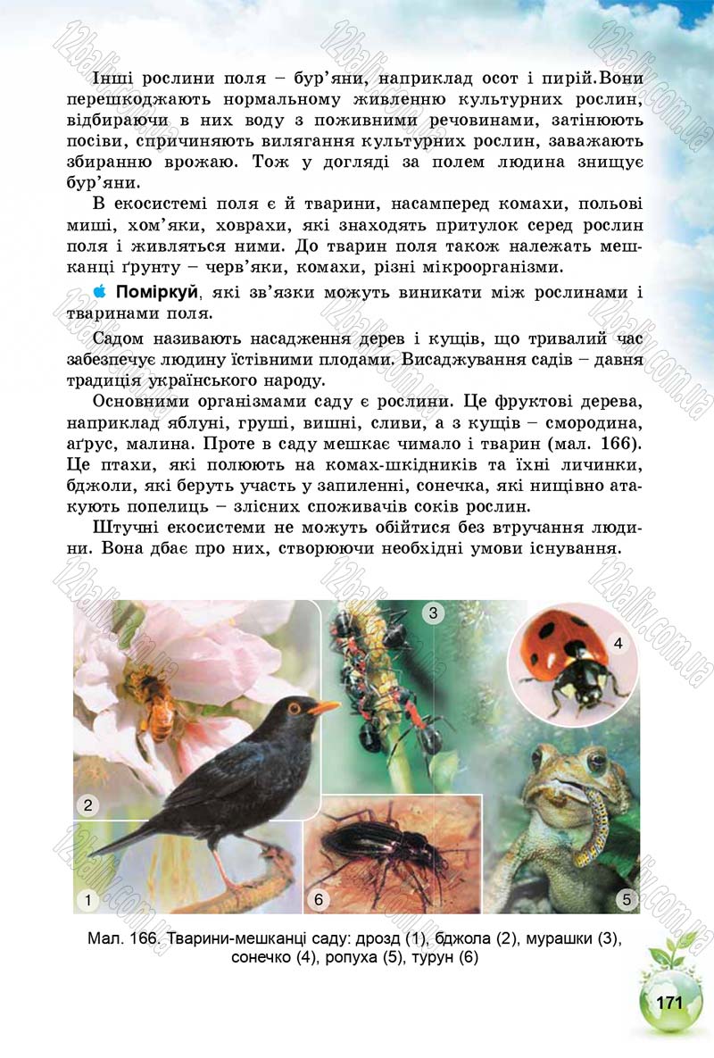 Сторінка 171 - Підручник Природознавство 5 клас Т. В. Коршевнюк, І. В. Баштовий 2018