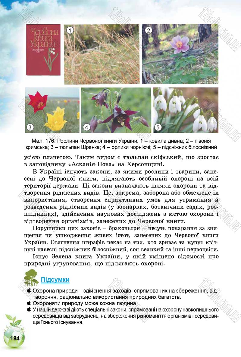Сторінка 184 - Підручник Природознавство 5 клас Т. В. Коршевнюк, І. В. Баштовий 2018