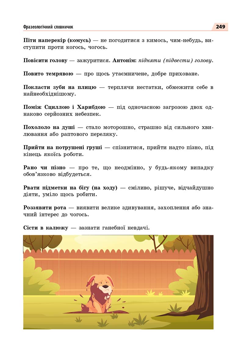 Сторінка 249 - Підручник Українська мова 7 класс О.П. Глазова 2020