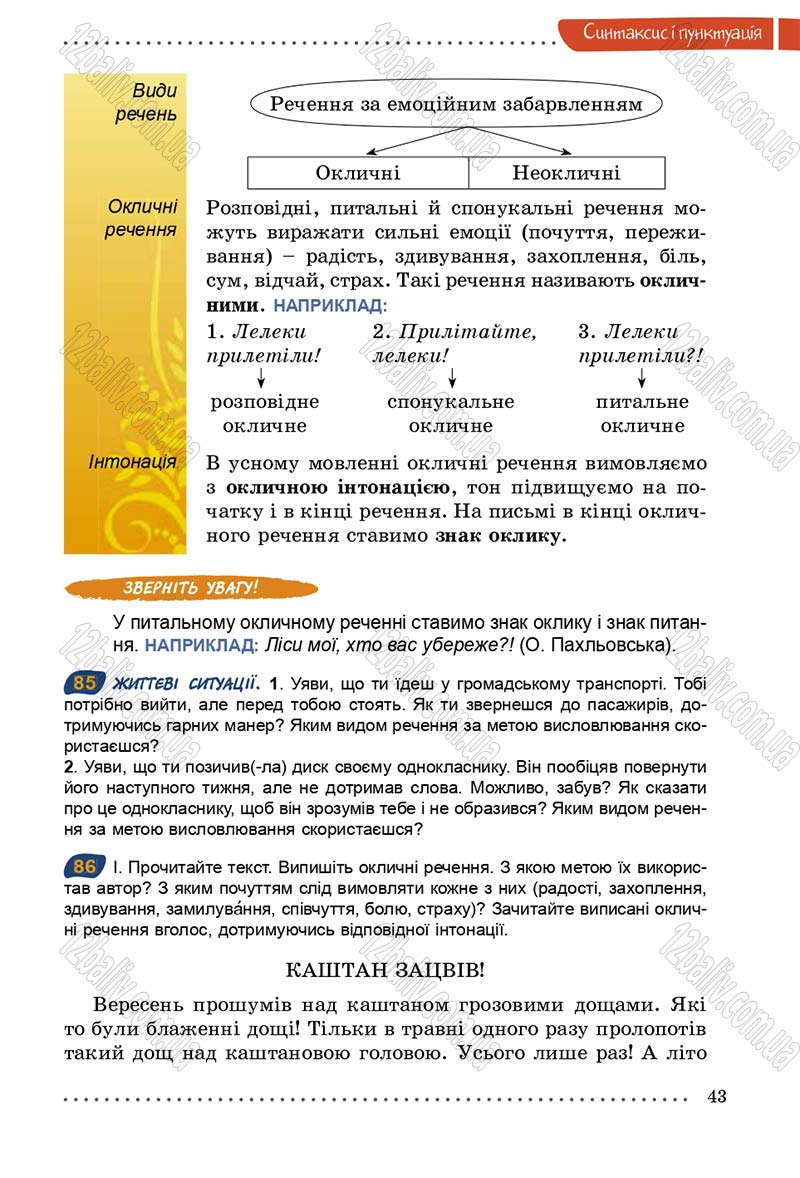 Сторінка 43 - Підручник Українська мова 5 клас О.В. Заболотний 2013