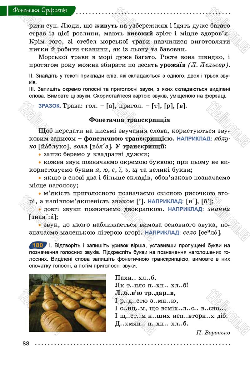 Сторінка 88 - Підручник Українська мова 5 клас О.В. Заболотний 2013