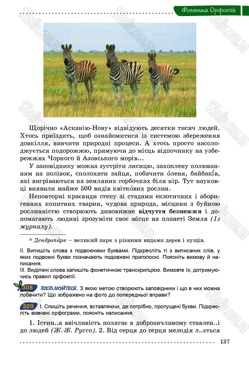 Сторінка 137 - Підручник Українська мова 5 клас О.В. Заболотний 2013