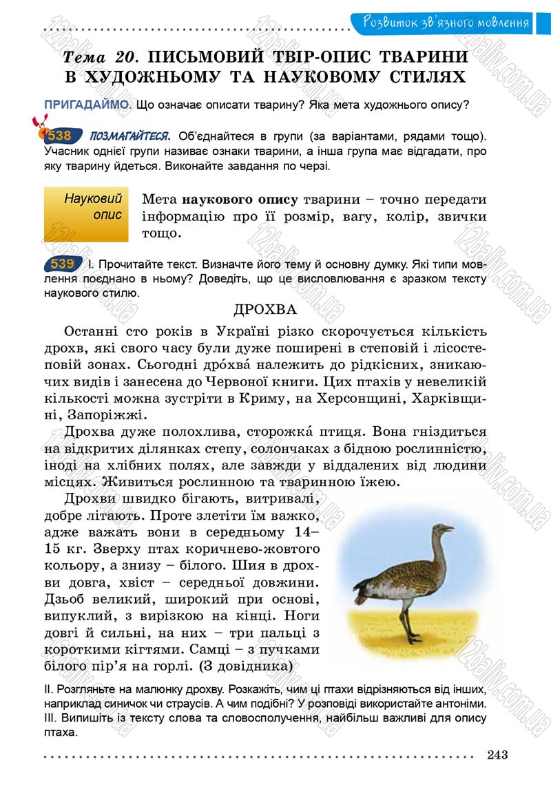 Сторінка 243 - Підручник Українська мова 5 клас О.В. Заболотний 2013