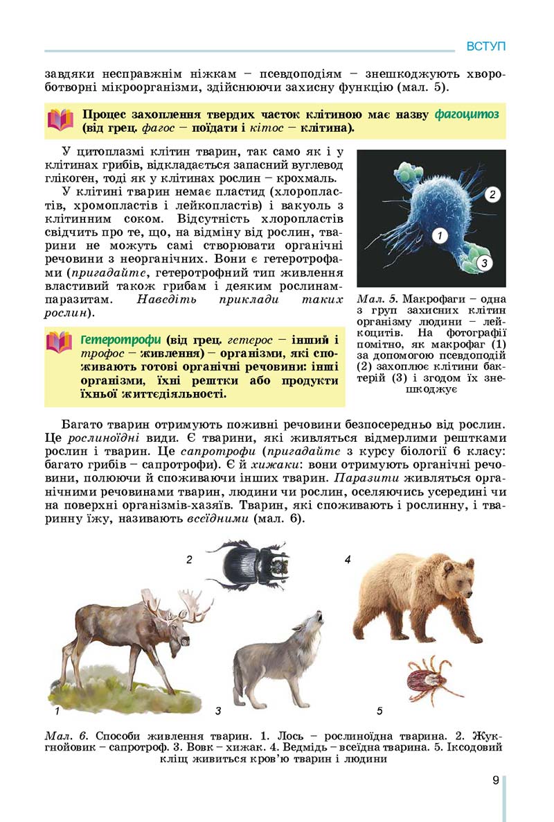 Сторінка 9 - Підручник Біологія 7 клас Остапченко 2020 - скачати
