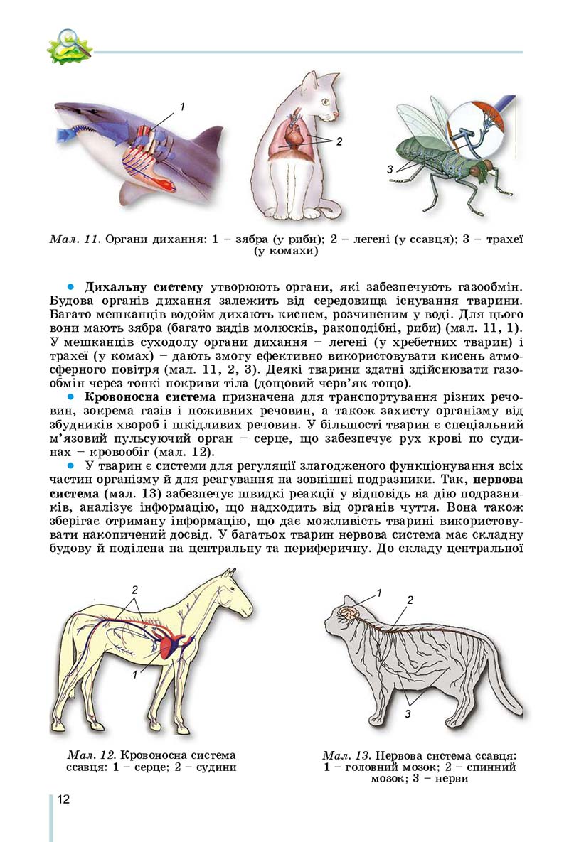 Сторінка 12 - Підручник Біологія 7 клас Остапченко 2020 - скачати