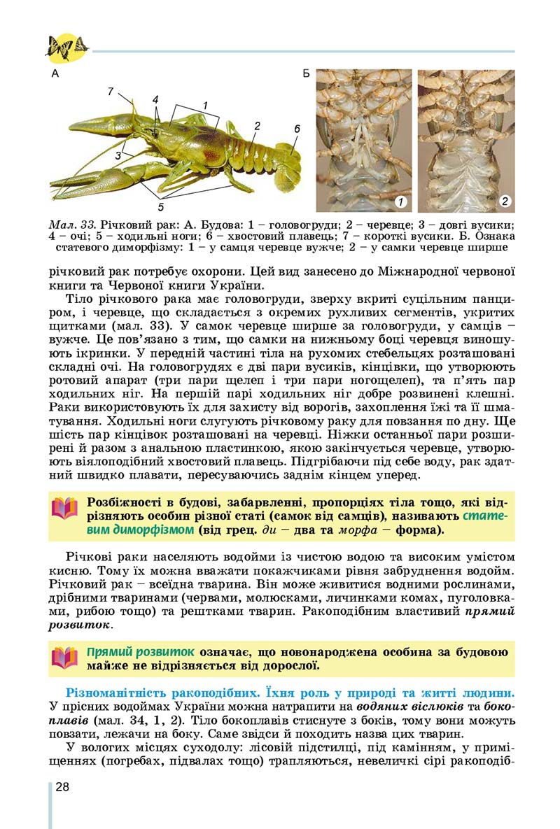 Сторінка 28 - Підручник Біологія 7 клас Остапченко 2020 - скачати