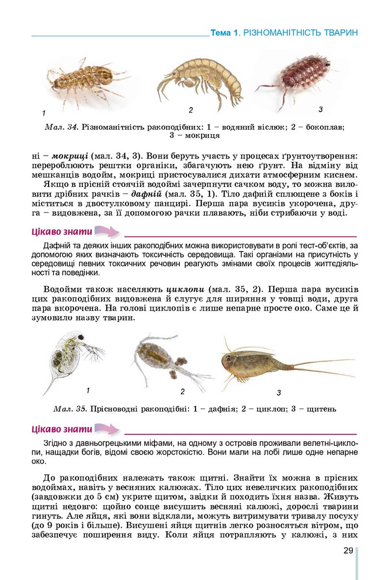 Сторінка 29 - Підручник Біологія 7 клас Остапченко 2020 - скачати