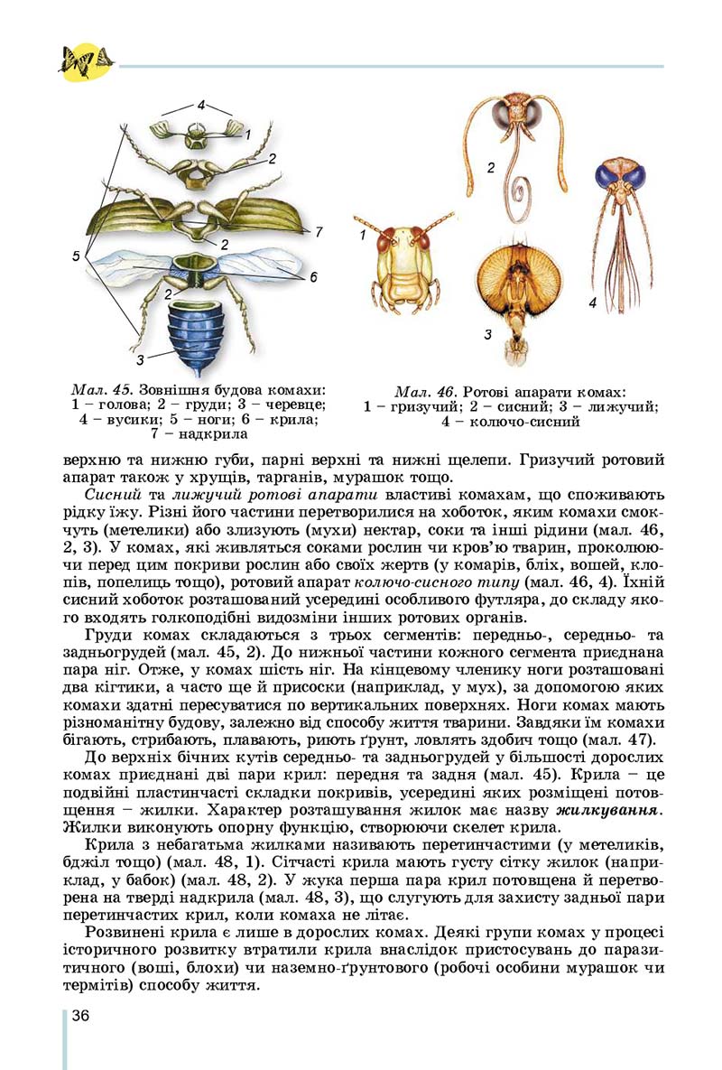 Сторінка 36 - Підручник Біологія 7 клас Остапченко 2020 - скачати